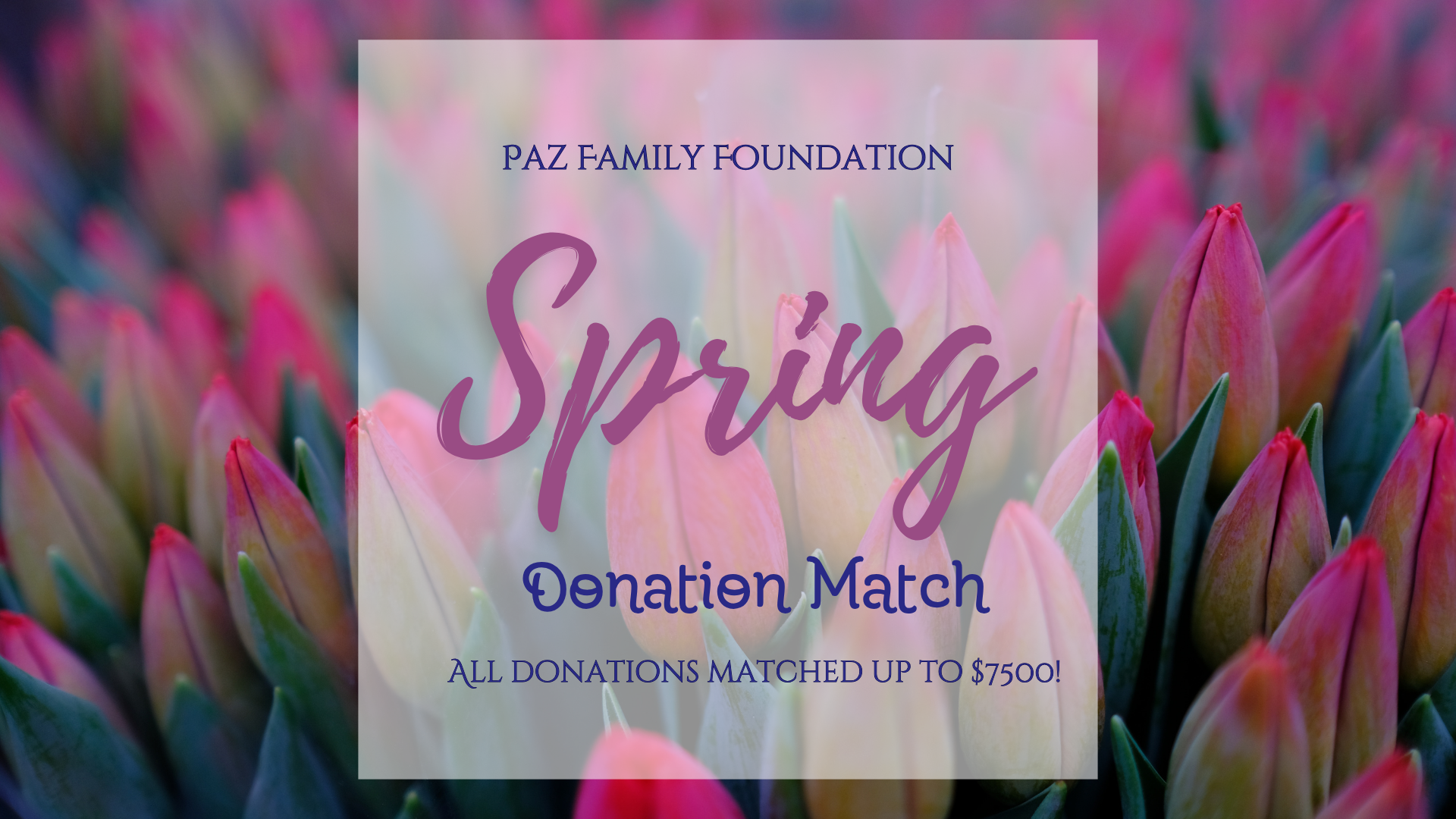 It’s time for our Spring Donation Match!